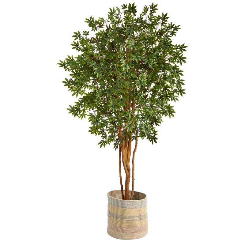 72'' Faux Maple Tree in Burlap, Cotton Planter