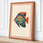 Tropical Fish Study Botanical - Wrapped Canvas-990930472-990930476