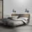 Decorey LED Armed Sconce