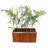 Wood Planter Box-36996074-36996078