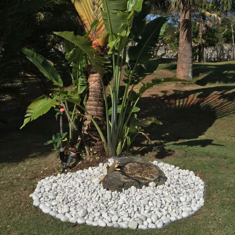 Rainforest Beach Landscaping Rocks, 1" H x 3" W x 5" D