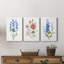 Petite Botanical I - Ensemble de 3 reproductions d'art sur toile tendue-1868167120