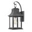 Adair 1-Light Outdoor Wall Lantern