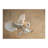 Elegant Floral Design Soft Pile Printed Rug Enhancing Any Living Space with Its Artistic Beauty-1709166690