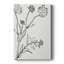 " Botanical Study I "-567035847
