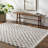 Calonder Checkered Indoor Rug-1704710370