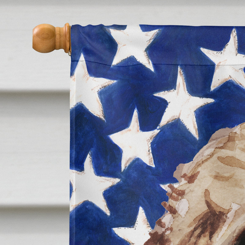 Drapeau de maison en polyester à 2 côtés Shahnur, Cockapoo brun