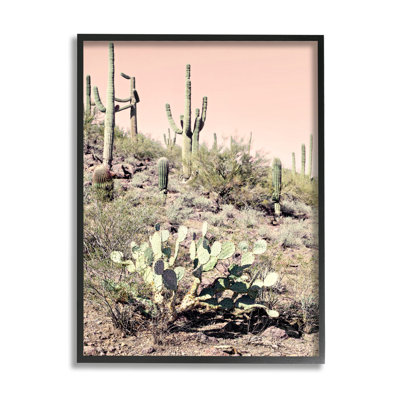 «Summer Dessert Landscape Cactus Prickly Pear», photographie sur toile tendue rose