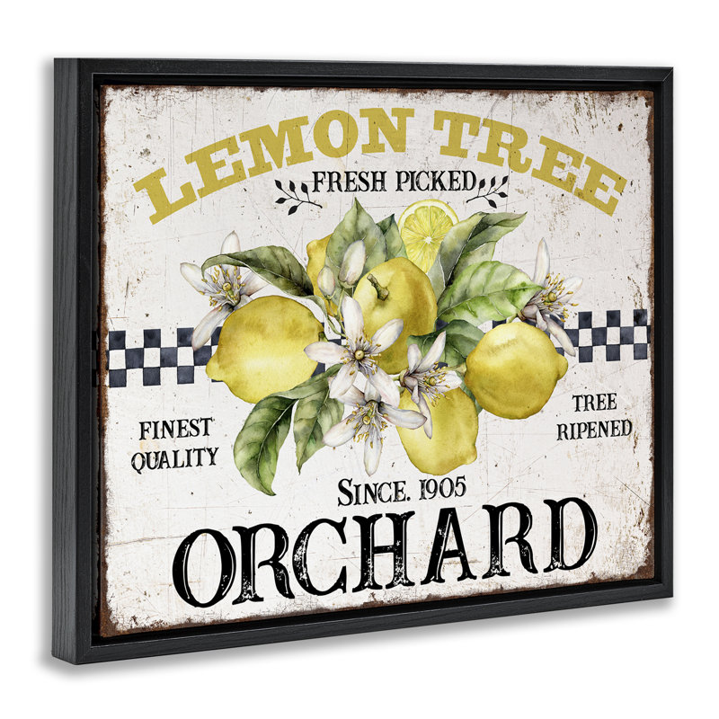 «Lemon Tree Fresh Picked», art mural encadré flottant par Creatif Belle, Cadre flottant noir de jais, H 17 po x l 21 po