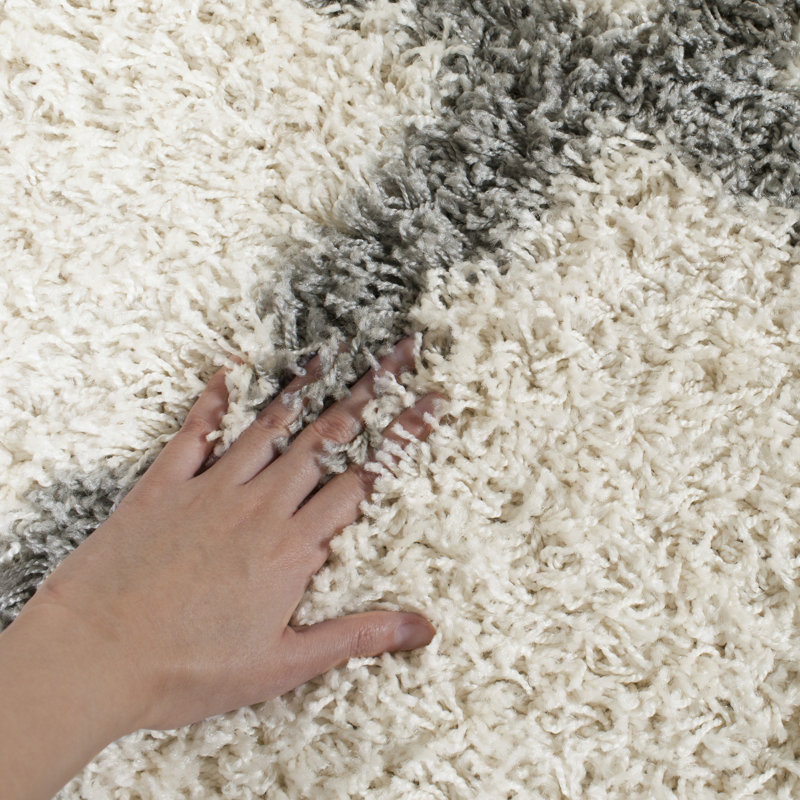 Alonnah Sgd-Dallas Shag Performance Geometric Rug, Rectangle 2'3" x 4'