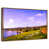 Floating Frame Gold