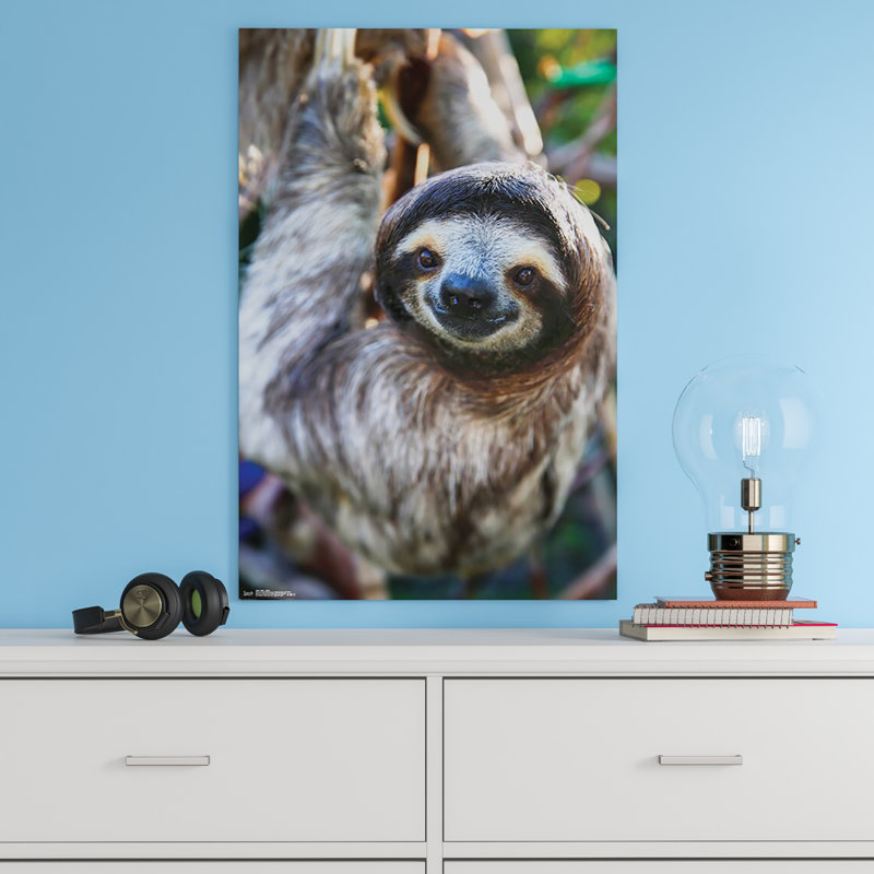 Impression sur papier sourire sloth Esposito