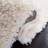 Vandoren Monica Shag Performance Rug-1155459646
