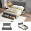 Dowler Upholstered Storage Bed-1181637402