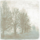 Mystic Morning II Print by Mari Urasawa