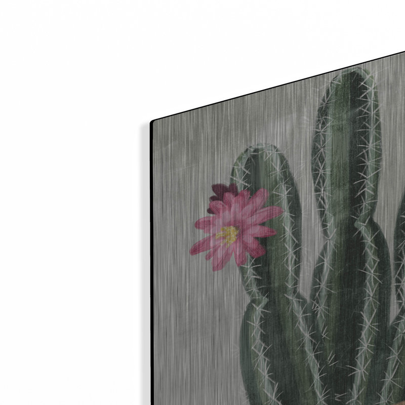 «Flowering Cactus» par House Fenway, H 16 po x l 12 po