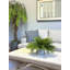 Melra Faux Fern Plant in Ceramic Vase