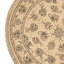 Hand Knotted Area Rug in Ivory