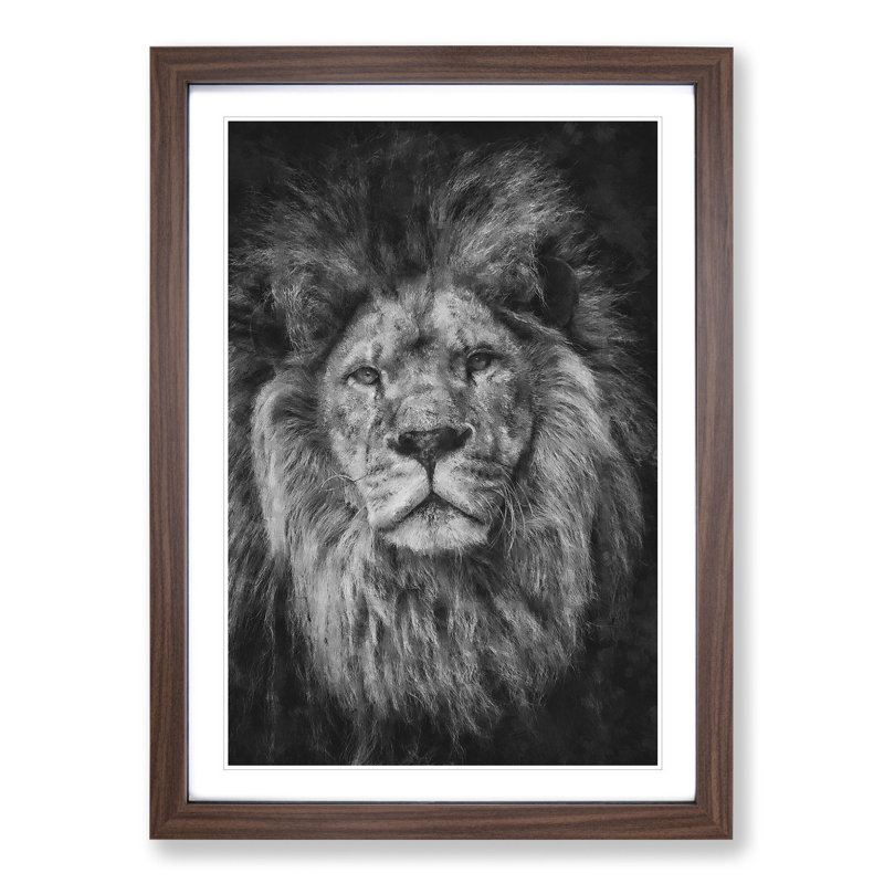 View of a Lion - Framed Print, Walnut, 48cm H x 36cm W x 2cm D