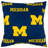 NCAA Square Pillow Cover & Insert-25193411