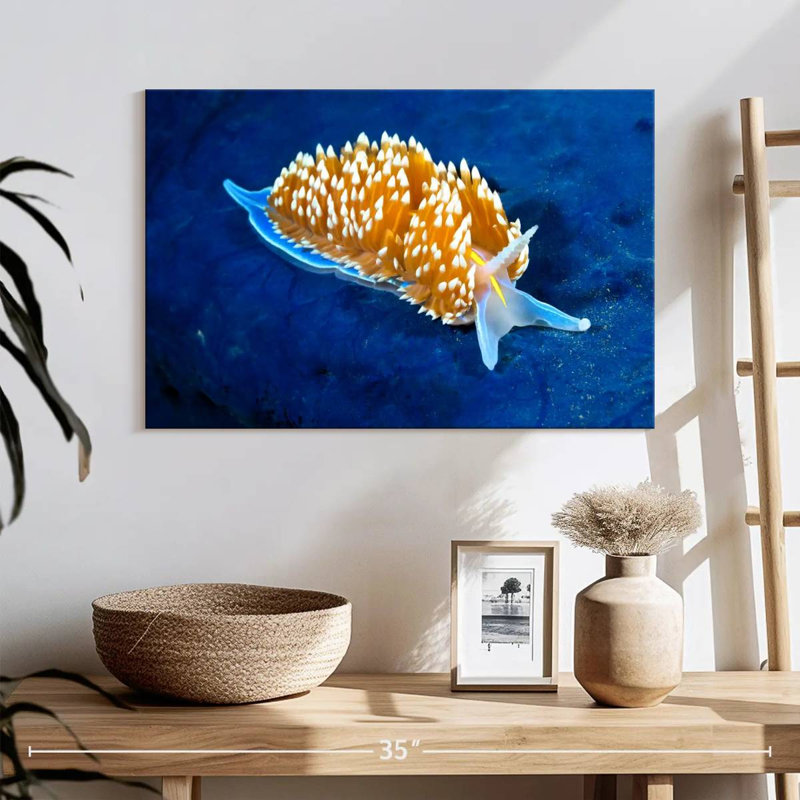 Crowle Glowing Nudibranch, 16" H x 24" W