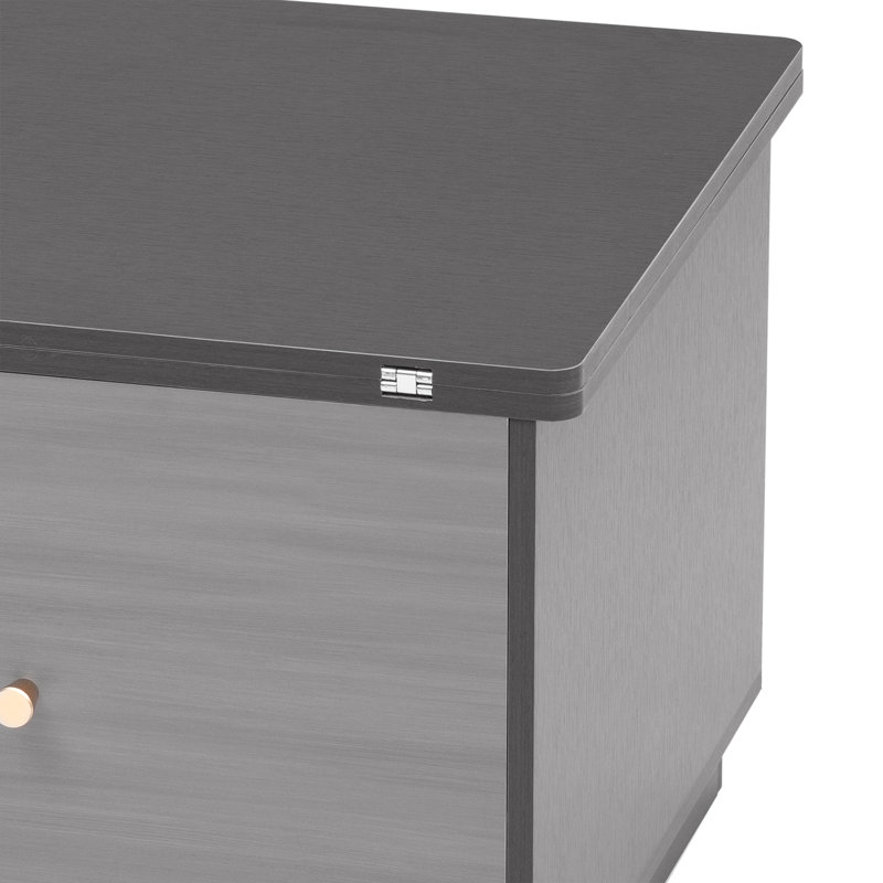 Table basse rectangulaire moderne à plateau relevable multifonctionnel avec rangement