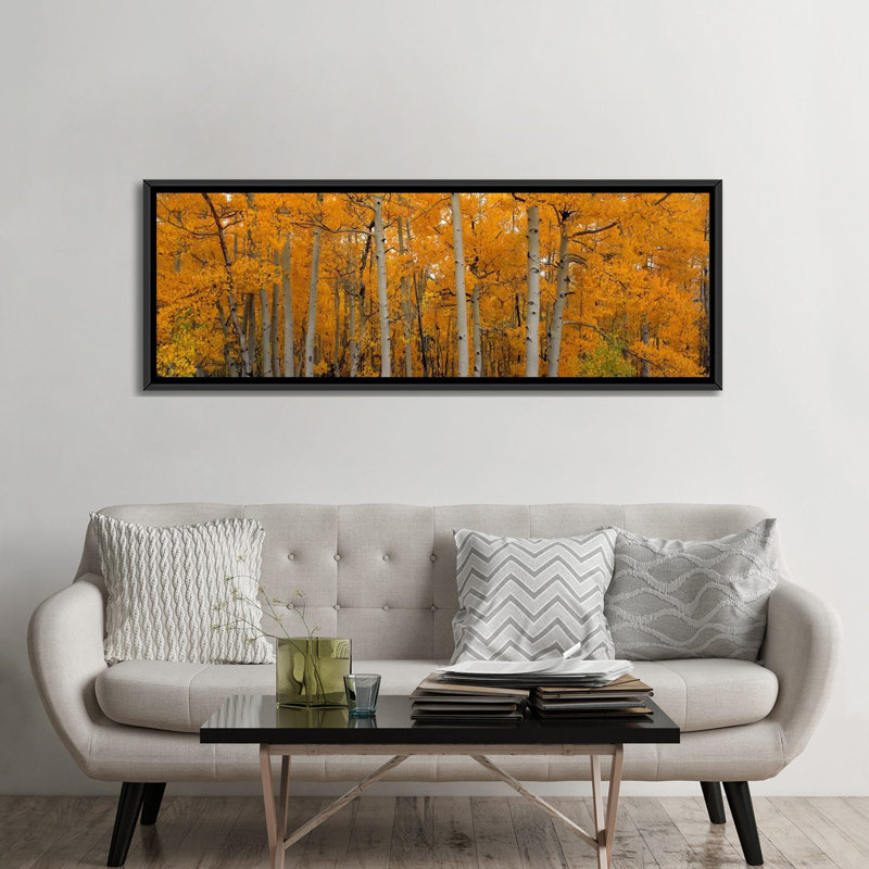 «Quake Aspens Dixie National Forest, Utah», reproduction de photo sur toile, H 24 po x l 72 po x P 1,5 po, Cadre noir