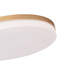 Trotman Acrylic LED Flush Mount