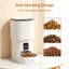 Automatic Feeder