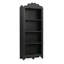 Flourish Solid Wood Bookcase