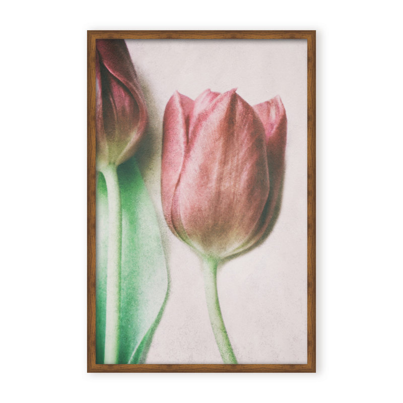 Nature Inspired The Spring Lovers by  - Picture Frame Graphic Art on Paper, 48" H x 32" W x 1.125" D, Framed Matted Print
