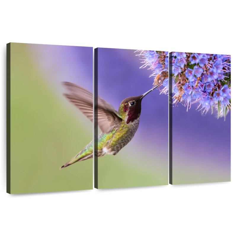 Nectar Sipping Hummingbird, 14" H x 23" W