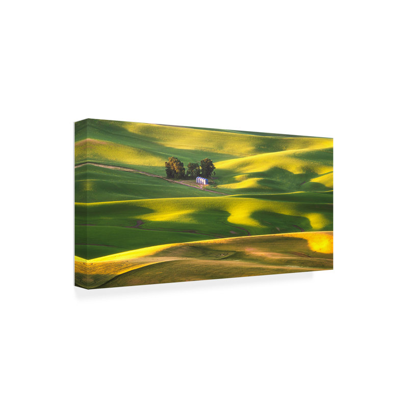 Art sur toile Aidong Ning Sunshine, H 10 po x l 19 po