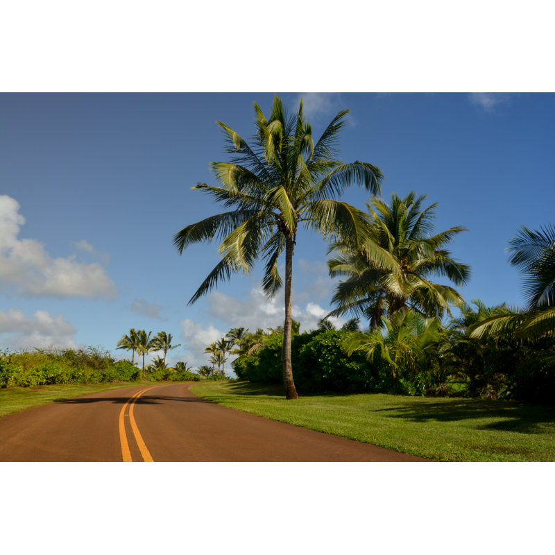 Tropical Highway On Kauai by Wildroze - No Frame Art Prints on Canvas, 81cm H x 122cm W
