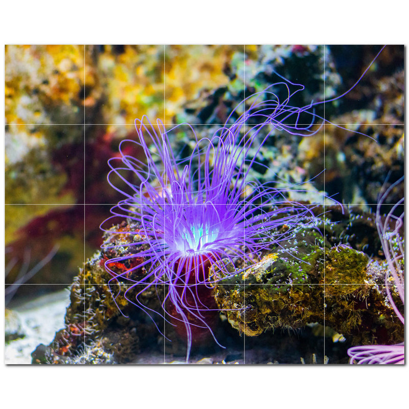 Murale en céramique satinée Coral Photo 4,25 po x 4,25 po