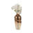 Kasea Artisan Crafted Ceramic Vases, Deluxe Set to Elevate Your Living Space - Perfect for Home & Office-856513071-856513059
