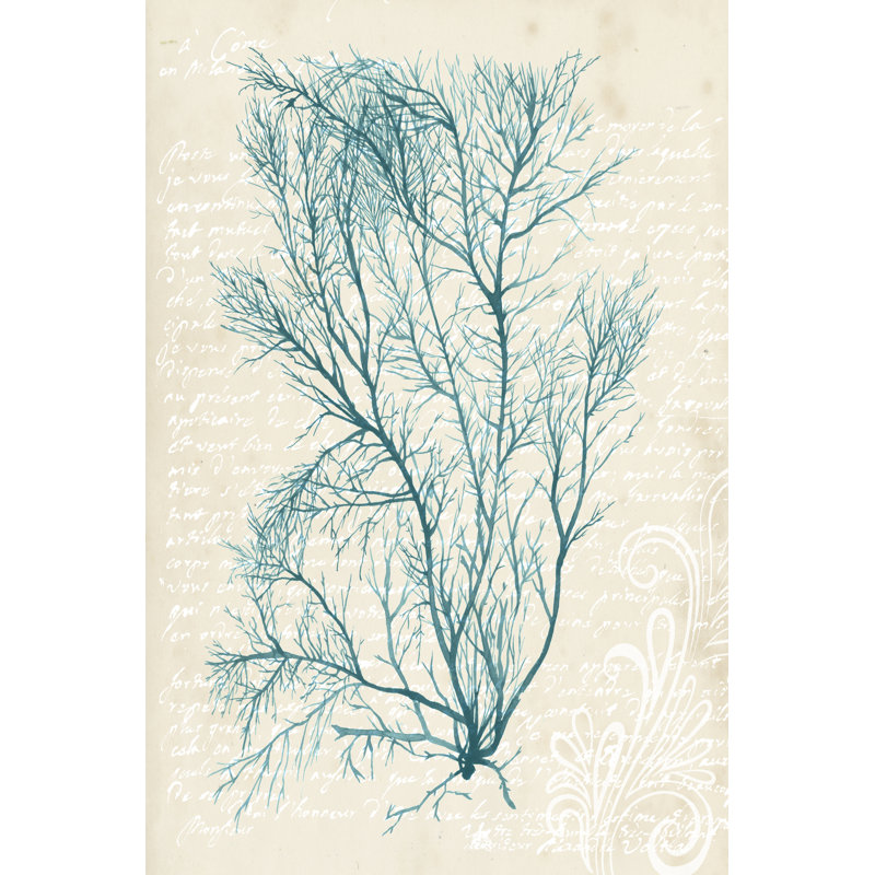 Teal Seaweed II 1 Piece Wrapped Canvas Wall Art, 46cm H x 30cm W