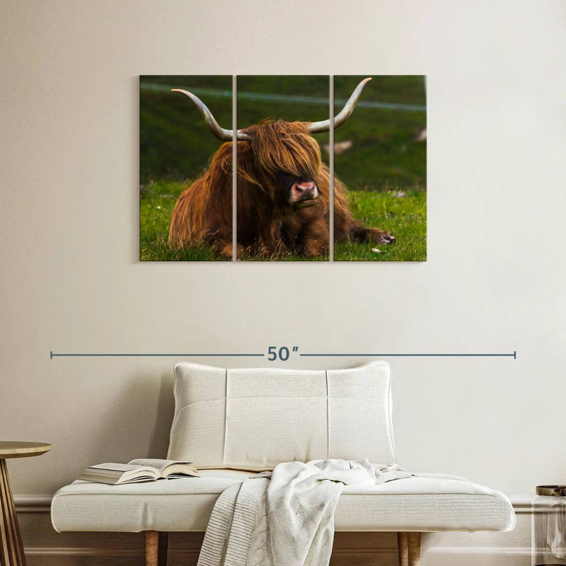 Brampt Highland Cow sur herbe, H 24 po x l 38 po