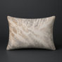 Beige abstrait 12