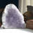 Gemmy Amethyst Geode - Excellent Display Specimen