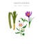 Home Spray My First Baobab-692889590-692889584