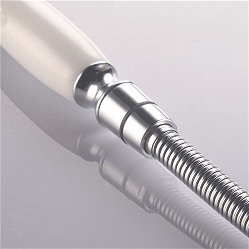 Rain Handheld Shower Head, Chrome