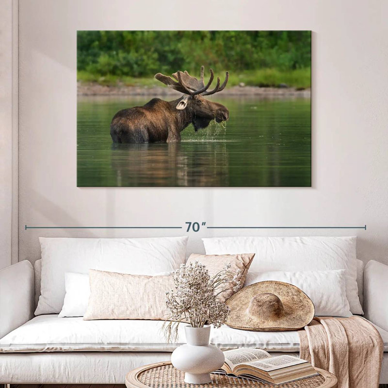 Fishercap Lake Moose, 32" H x 48" W