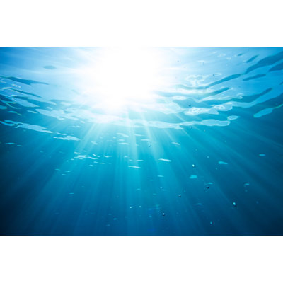 Ocean Water by Grafner - Wrapped Canvas Print
