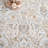 Xanthi Performance Oriental Rug-801978348
