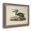 «Brown Pelican» par John Audubon - peinture sur toile encadrée-1259366781-1231816789