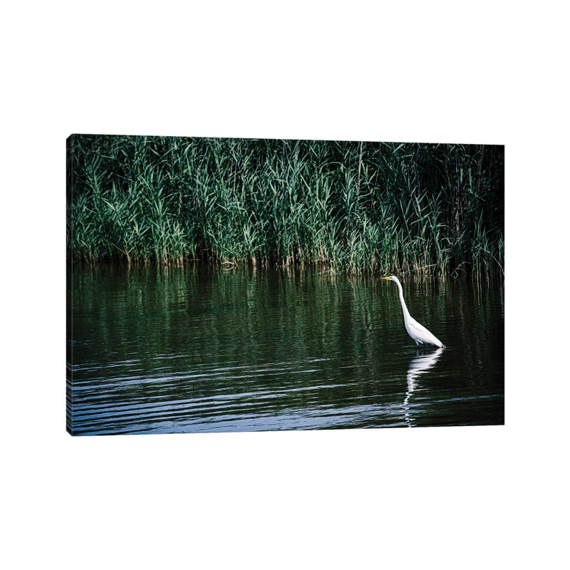 Solitude - Outer Banks, North Carolina by Ann Hudec - Wrapped Canvas Gallery-Wrapped Canvas Giclée, 20.32 cm H x 30.48 cm W