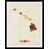 Black Frame selected