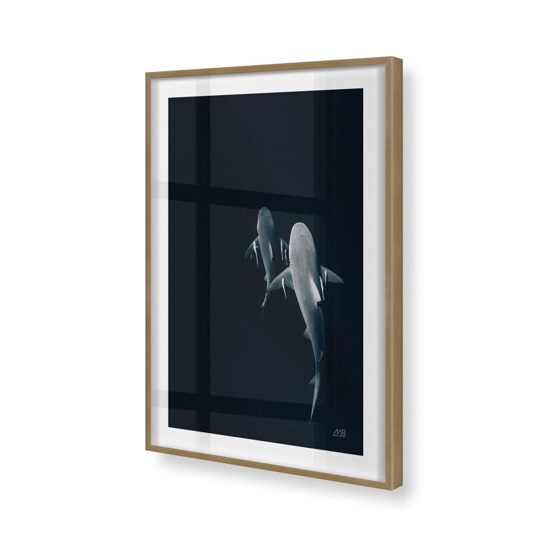 Serene Shark Shadows Print, Brushed Gold, 11.25" H x 9.25" W