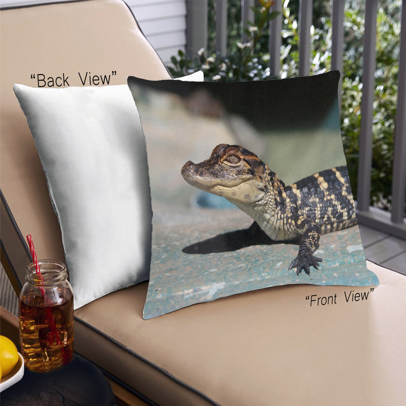 Coussin State Florida 14, Synthétique